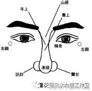 鼻頭垂肉|「面相」看鼻相知命運